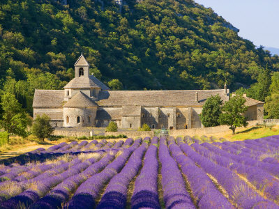 Recettes cosmétiques maison à la lavande